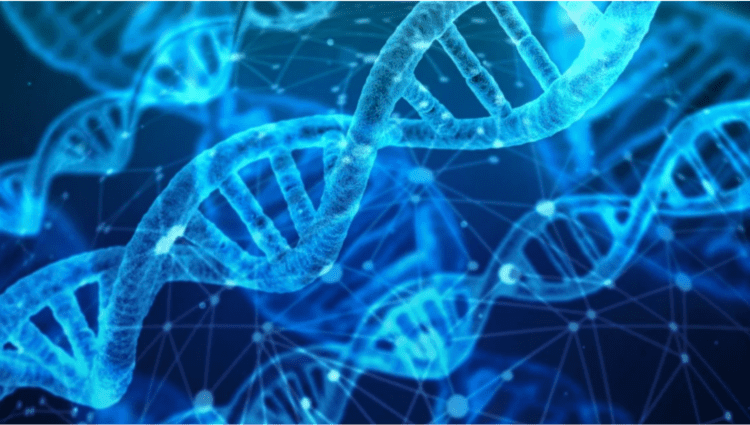Screen-Shot-2023-11-12